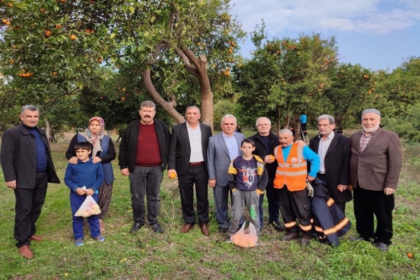 Kozan Belediyesi’ne Ait 7 Dönümlük Narenciye Bahçesinde Bulunan Ürünler Vatandaşlara Ücretsiz Bir Şekilde Dağıtıldı