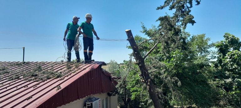 Kozan Belediyesi ekipleri lojmanın üzerine yıkılan ağaca müdahale etti…