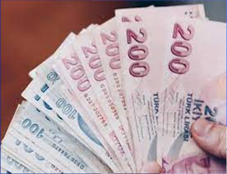 2024  Yılı Yeni asgari ücret 17 bin 2 lira oldu
