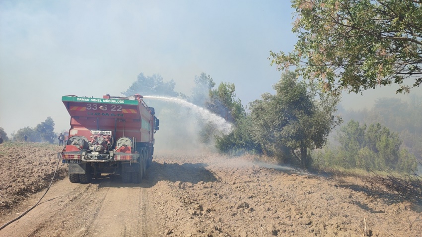 Köseli Mahallesi’nde Orman Yangını