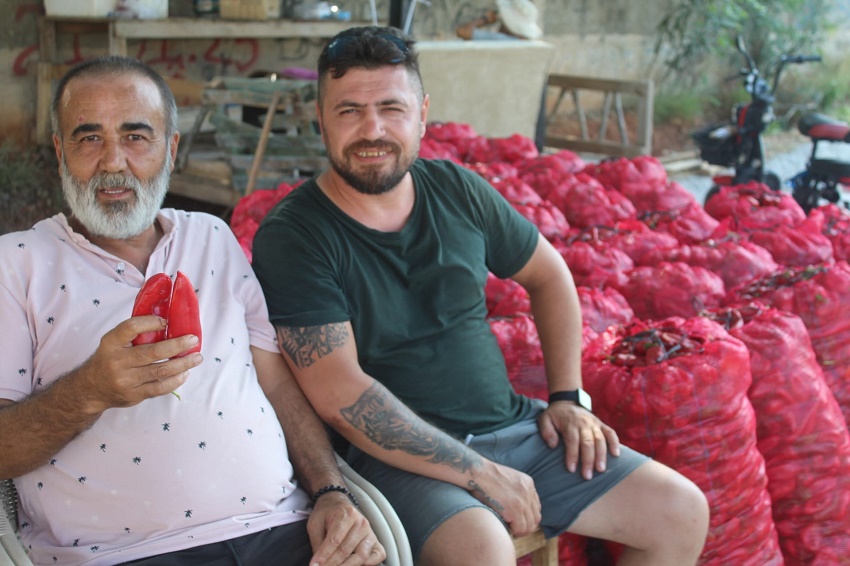 Salçalık Biber Tezgahlarda Yerini Aldı