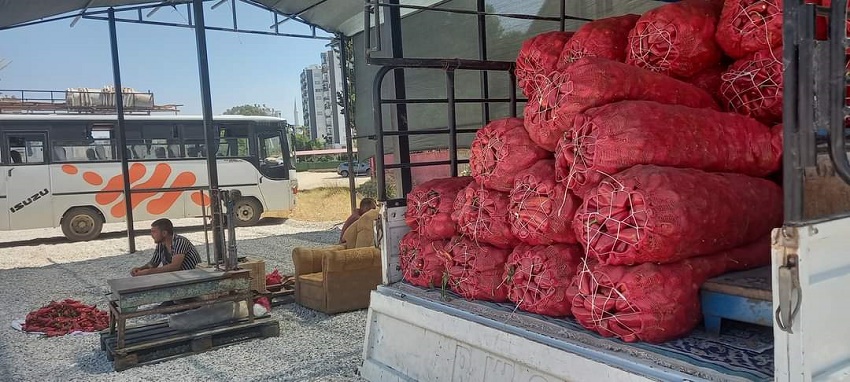 Salçalık Biber Tezgahlarda Yerini Aldı