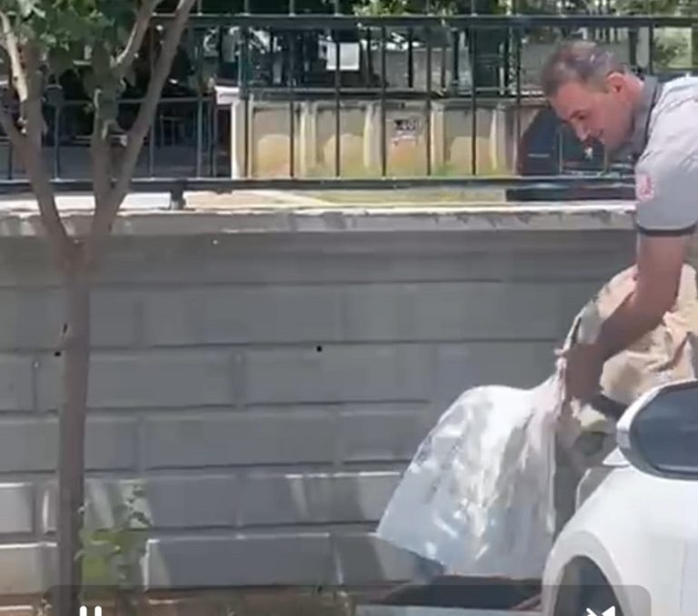 KOZAN’DA ARILAR AĞACA OĞUL VERDİ, GÜVENLİK GÖREVLİSİ MÜDAHALE ETTİ