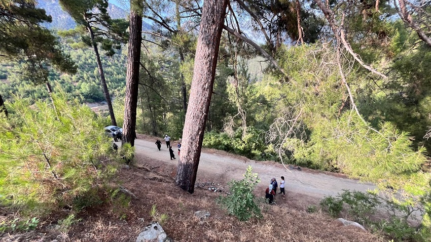 Maran Tordere Mevkisinde Trafik Kazası