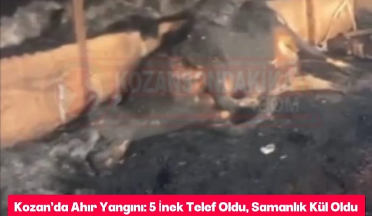 Kozan’da Ahır Yangını: 5 İnek Telef Oldu, Samanlık Kül Oldu