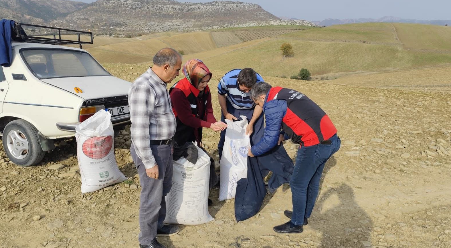 Kozan’da Kadim Tohum Yeniden Toprakla Buluşuyor: Karakılçık Buğdayı Yaygınlaşıyor