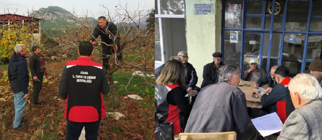 KOZAN HURMASINDA SAHADA EĞİTİM VE BİLGİLENDİRME ÇALIŞMALARI SÜRÜYOR