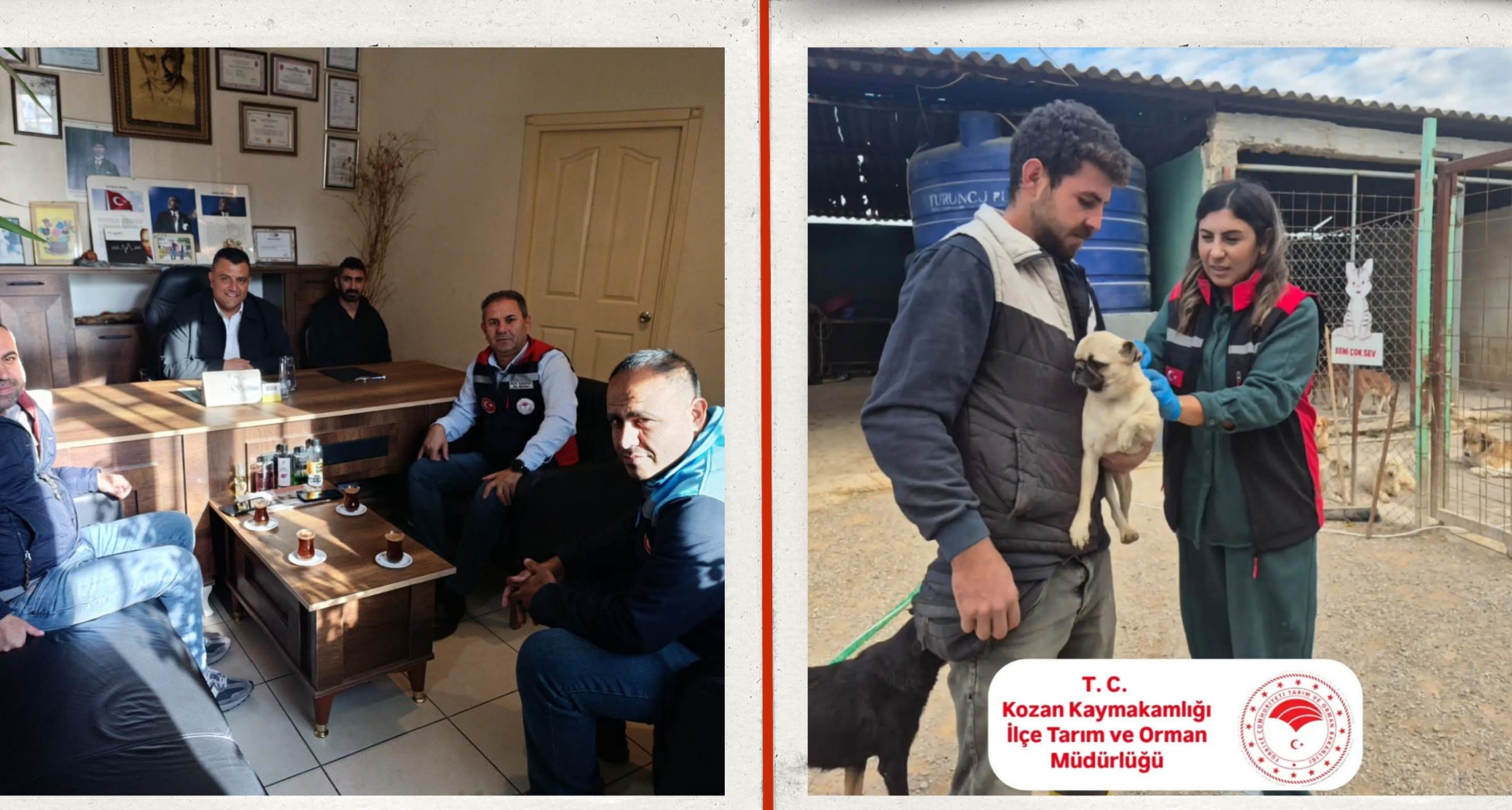 Kozan’da Hayvan Sağlığı, Denetim ve Piyasa İzleme Çalışmaları Aralıksız Sürüyor