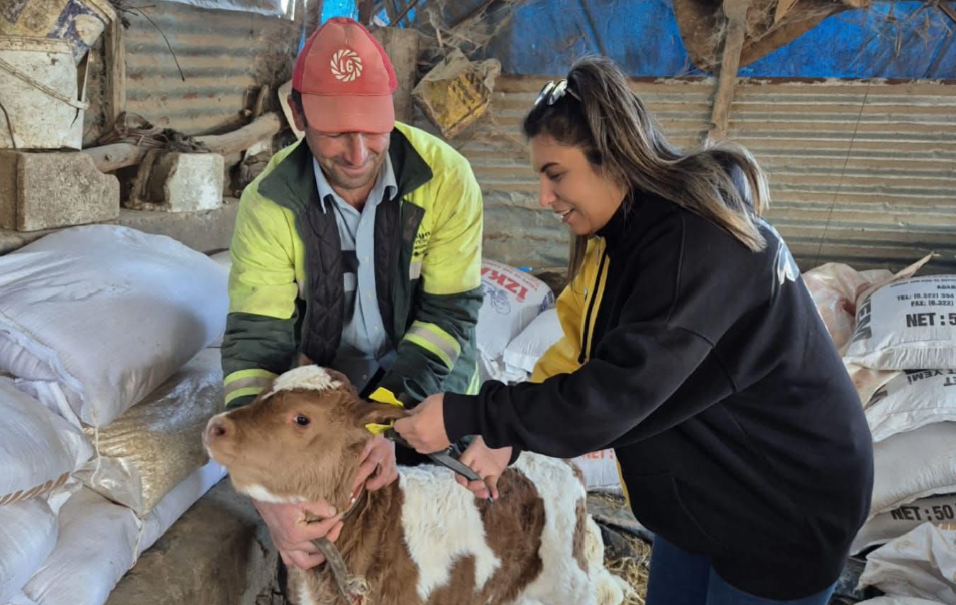 KOZAN’DA HAYVAN SAĞLIĞI VE ARICILIK ÇALIŞMALARI ARALIKSIZ SÜRÜYOR