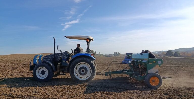 KOZAN’DA NOHUT TARIMI YÜKSELİŞTE: KURAKLIĞA KARŞI GÜÇLÜ ALTERNATİF