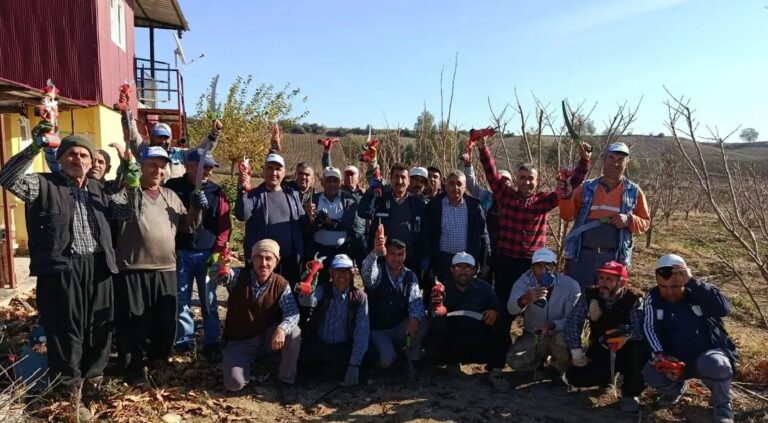 KOZAN HURMASI BUDANIYOR: VERİM VE KALİTE İÇİN SAHADA YOĞUN ÇALIŞMA