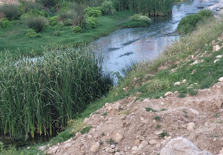 Kozan Yusuf Baysal Rezidans Yanından Geçen kilgen çayında Çevre Kirliliği hat safaya ulaştı