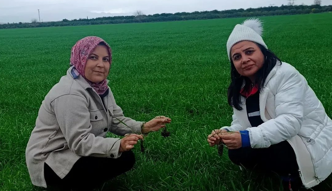 KOZAN’DA YAĞIŞ SONRASI TARIMSAL SAHA DENETİMLERİ ARALIKSIZ