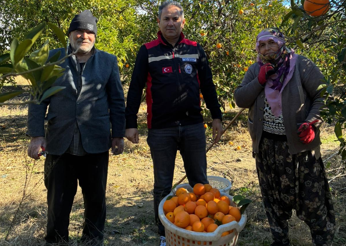 KOZAN’DA NARENCİYE BAHÇELERİNDE ZİRAİ DON VE AKDENİZ MEYVE SİNEĞİ KONTROLLERİ YAPILDI