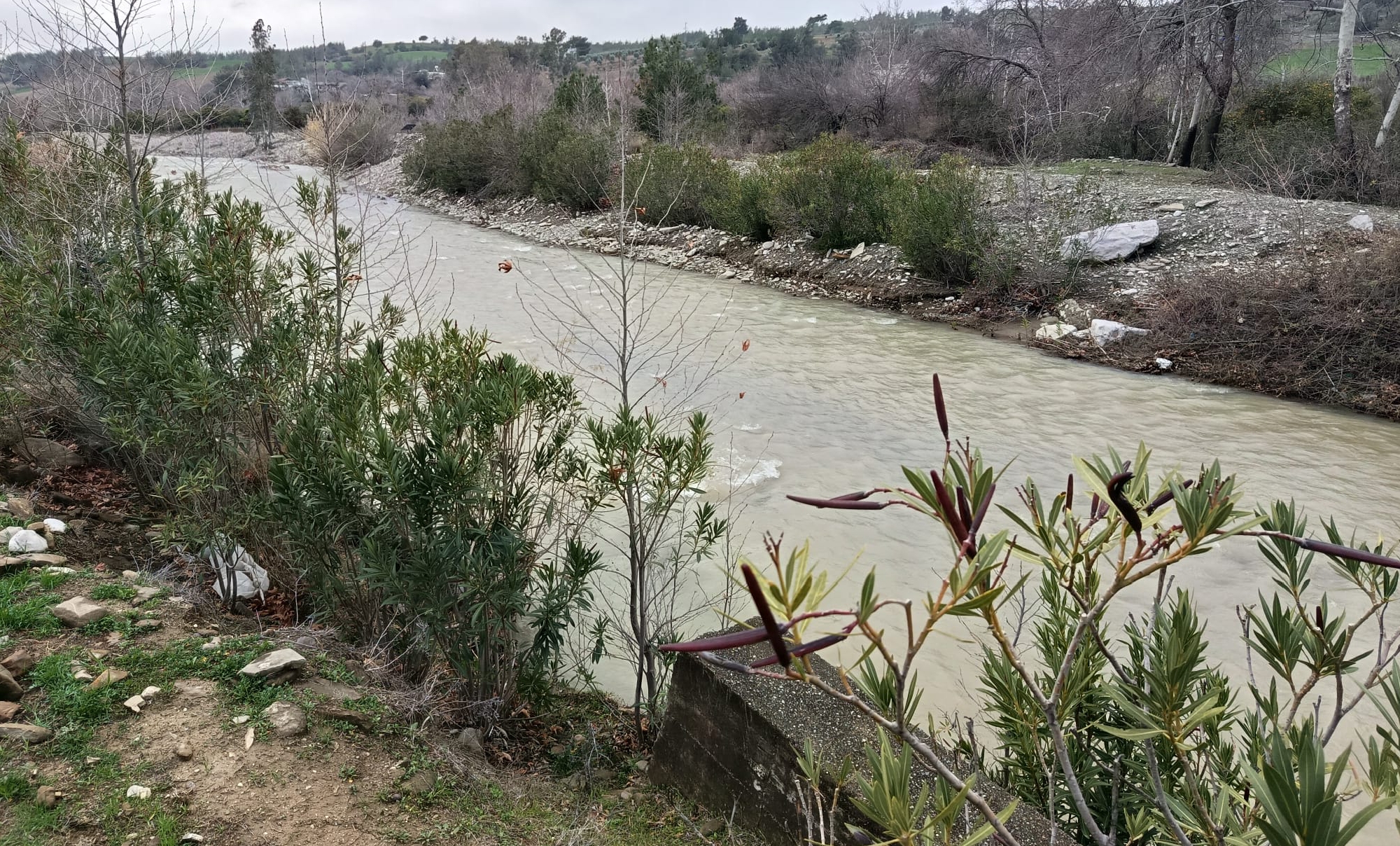 Kozan’da Yağış Sonrası Sahada İnceleme: Tarımda Olumsuzluk Yok, Su Seviyeleri Arttı