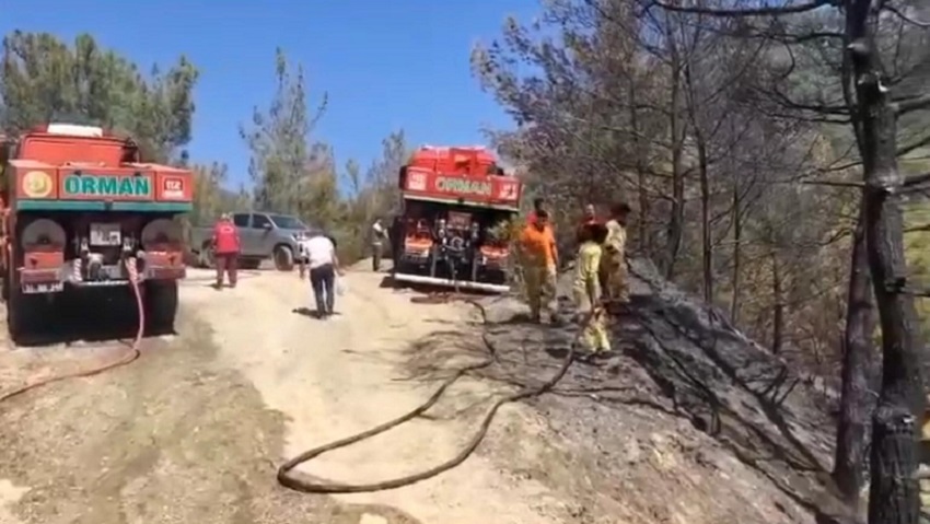 Kozan'da Orman Yangını