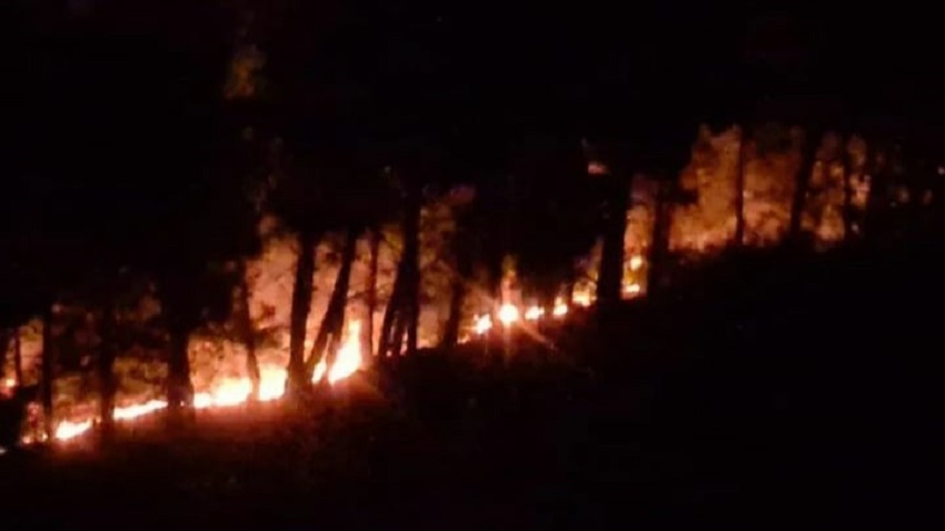 Kozan'da Orman Yangını