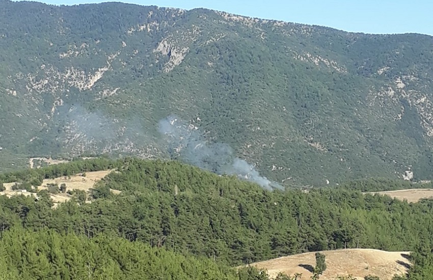Kozan ve Feke’de Orman Yangını