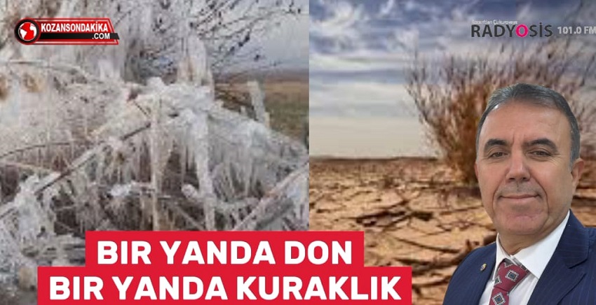 Kozan Ticaret Odası Başkanı Mustafa Kandemir: Kuraklık ve Don Felaketi İlçemizi Vurdu