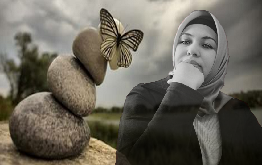 KELEBEK TOZU Hayriye GÖZTAŞ Roman yazarı ve Edebiyat Öğretmeni