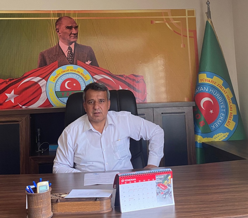 2024 Buğday Hasat Ücreti Belirlendi: 1 Dekarı 195 TL