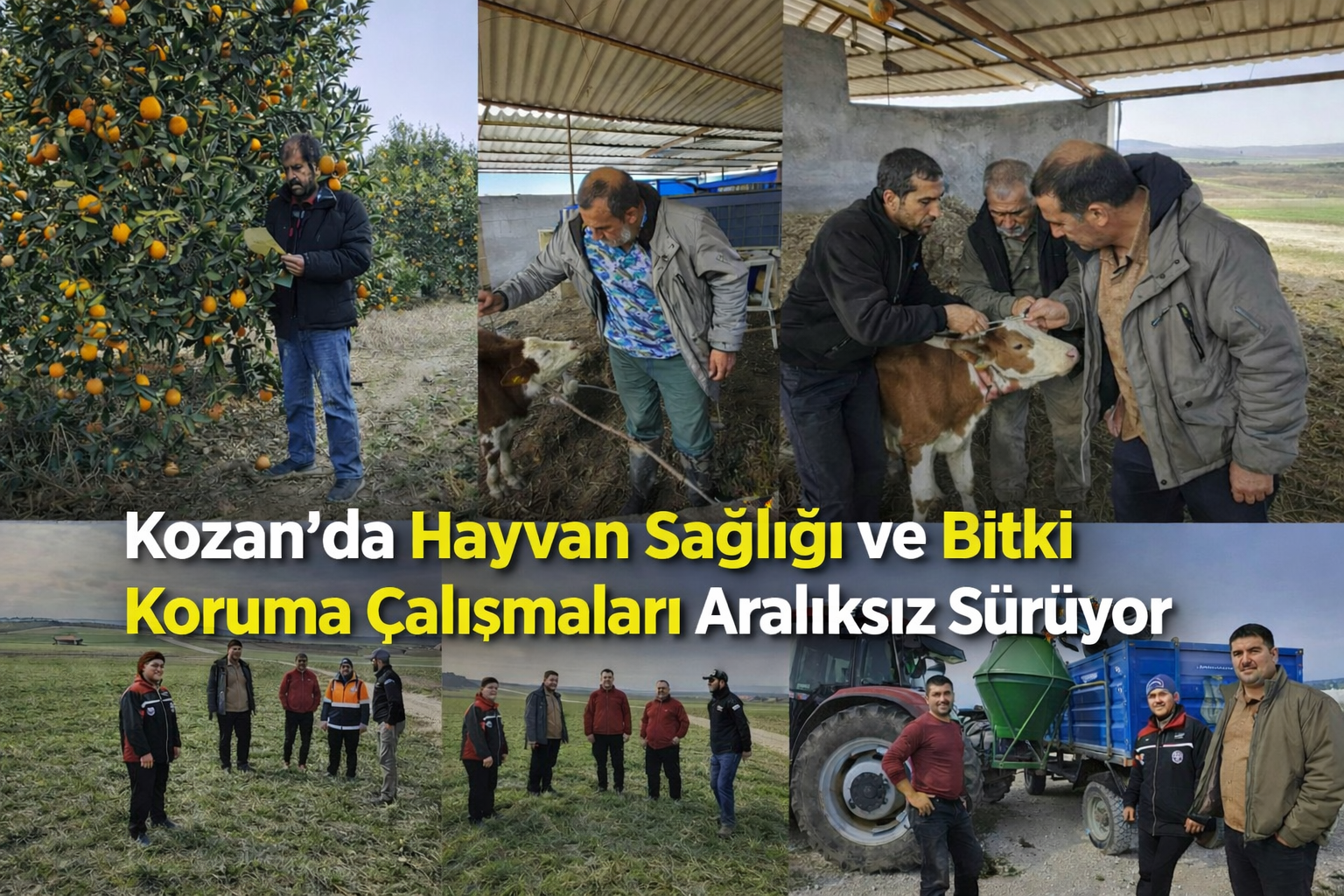 Kozan’da Hayvan Sağlığı ve Bitki Koruma Çalışmaları Aralıksız Sürüyor