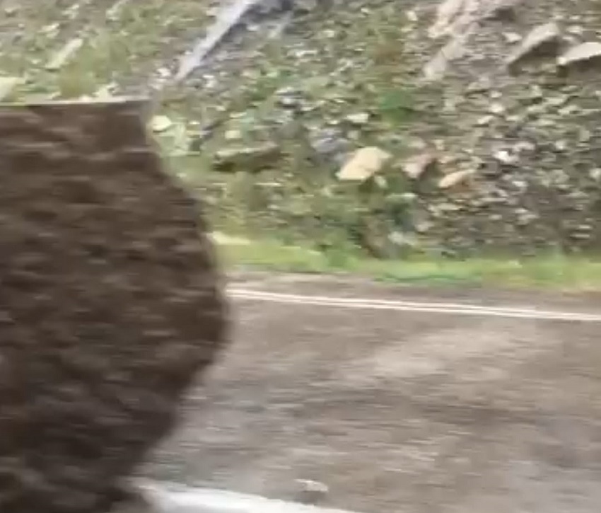 kozan feke saimbeyli yağmur etkili oldu
